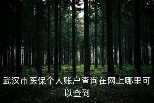 武漢市醫(yī)保個(gè)人賬戶(hù)查詢(xún)?cè)诰W(wǎng)上哪里可以查到