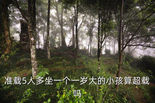 5大人1個嬰兒算超載嗎，5座小轎車多坐一個小孩算超員嗎