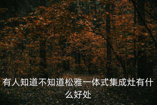 有人知道不知道松雅一體式集成灶有什么好處