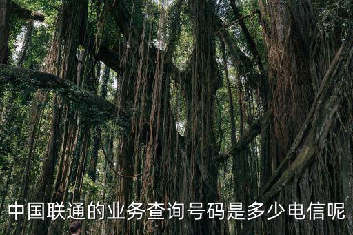 中國(guó)聯(lián)通的業(yè)務(wù)查詢號(hào)碼是多少電信呢