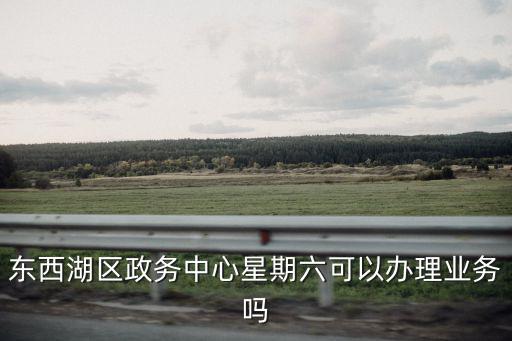東西湖政務中心，東西湖區政務中心星期六可以辦理業務嗎