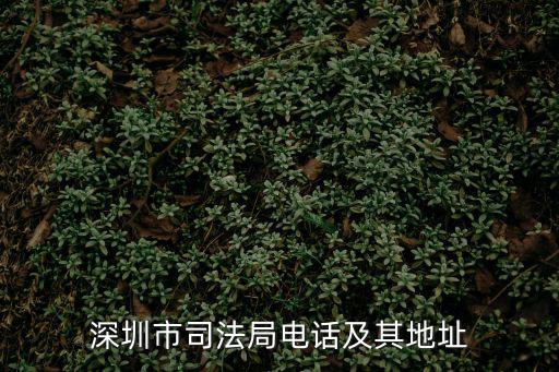 深圳市司法局電話及其地址