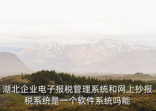 湖北企業(yè)電子報(bào)稅管理系統(tǒng)和網(wǎng)上抄報(bào)稅系統(tǒng)是一個(gè)軟件系統(tǒng)嗎能