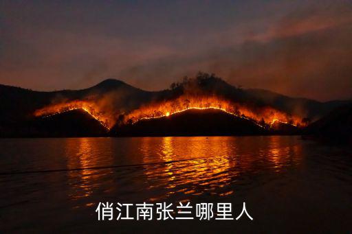 俏江南張?zhí)m哪里人