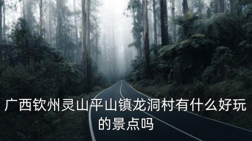龍洞風(fēng)景區(qū)，廣西欽州靈山平山鎮(zhèn)龍洞村有什么好玩的景點(diǎn)嗎