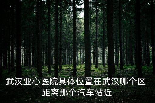 武漢亞心醫院具體位置在武漢哪個區 距離那個汽車站近