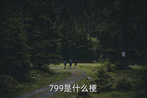 799是什么梗