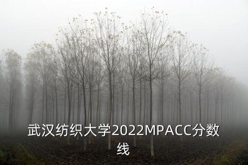 武漢紡織大學2022MPACC分數線