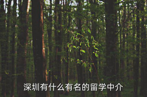 深圳有什么有名的留學中介