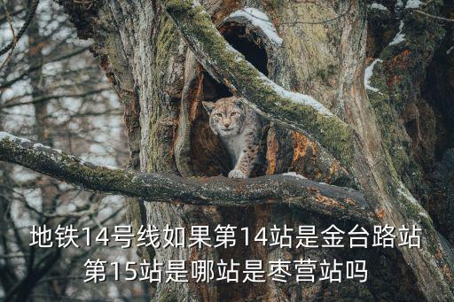 青島地鐵14號線，地鐵14號線如果第14站是金臺路站第15站是哪站是棗營站嗎