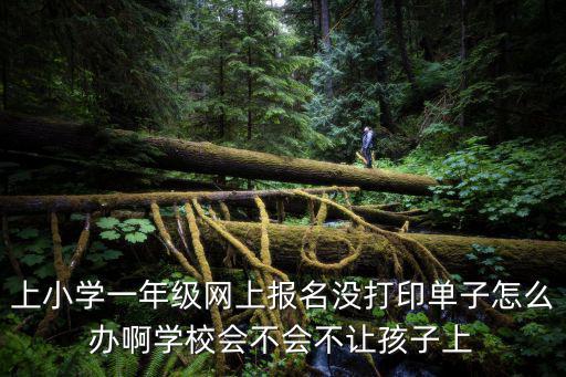 上小學一年級網上報名沒打印單子怎么辦啊學校會不會不讓孩子上