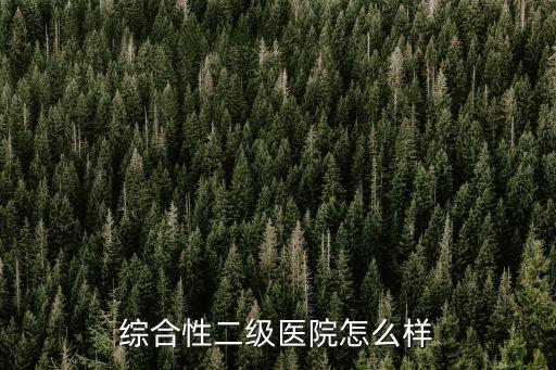 綜合性二級(jí)醫(yī)院怎么樣