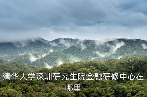 清華大學深圳研究生院金融研修中心在哪里