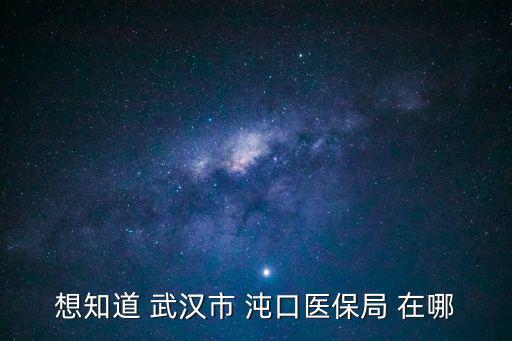 想知道 武漢市 沌口醫保局 在哪