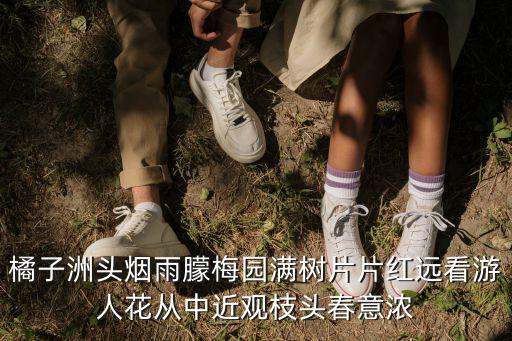 橘子洲頭煙雨朦梅園滿樹片片紅遠看游人花從中近觀枝頭春意濃