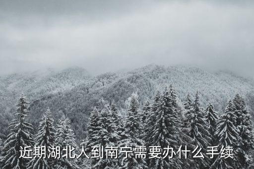 近期湖北人到南寧需要辦什么手續(xù)