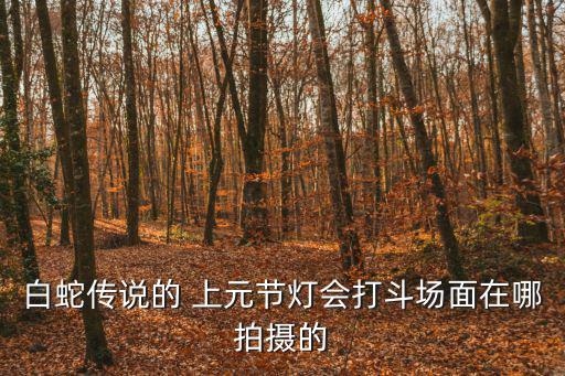 上元燈會，開封市民憑身份證買上元燈會的門票有優惠嗎