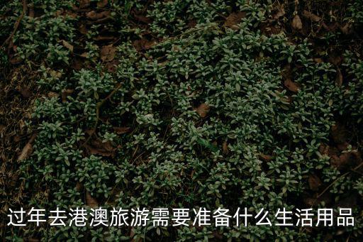 春節(jié)港澳游，過(guò)年去港澳旅游需要準(zhǔn)備什么生活用品