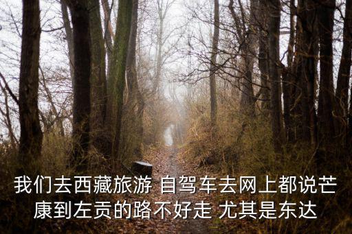 我們?nèi)ノ鞑芈糜?自駕車去網(wǎng)上都說芒康到左貢的路不好走 尤其是東達(dá)