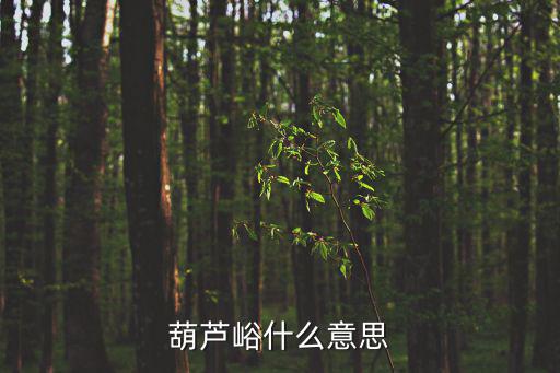 葫蘆峪，葫蘆峪3國古戰場遺址算不算眉縣的旅游景點