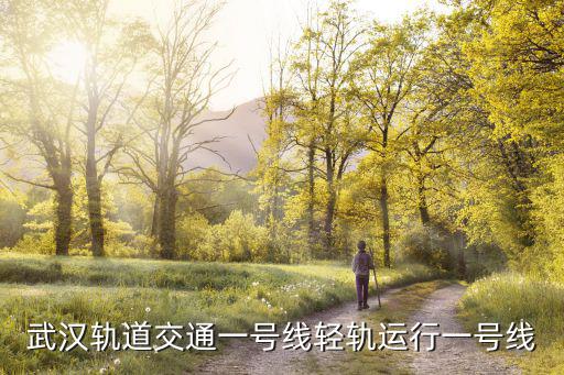 武漢軌道交通一號線輕軌運行一號線