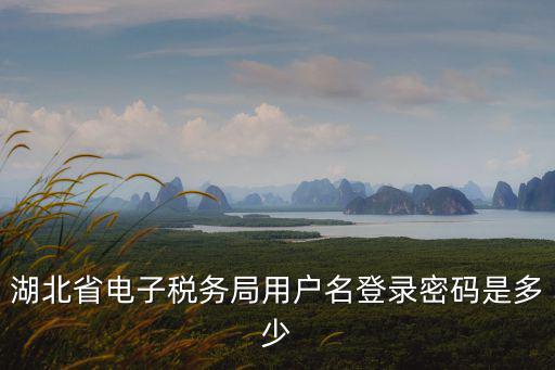 湖北省電子稅務(wù)局用戶名登錄密碼是多少