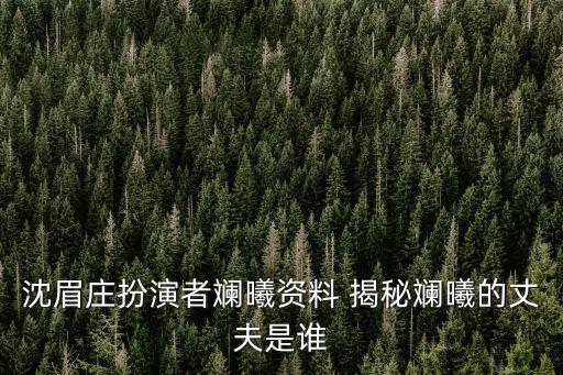 沈眉莊扮演者斕曦資料 揭秘斕曦的丈夫是誰