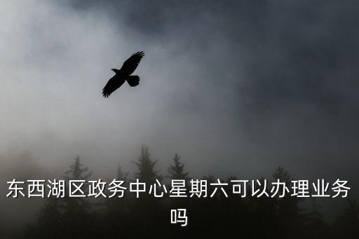 東西湖區政務中心星期六可以辦理業務嗎