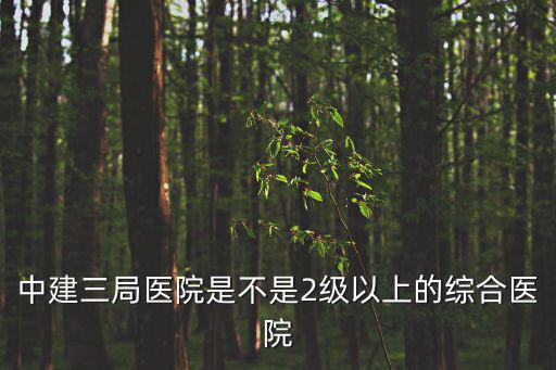 中建三局醫(yī)院是不是2級(jí)以上的綜合醫(yī)院
