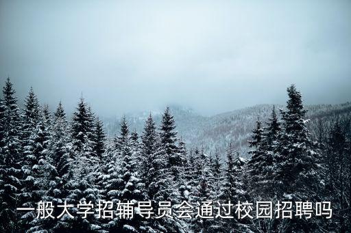 一般大學(xué)招輔導(dǎo)員會(huì)通過校園招聘嗎