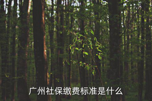 廣州社保繳費，外地人個人如何在廣州繳納社保每月應繳多少錢