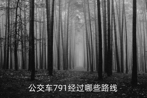 公交車791經過哪些路線