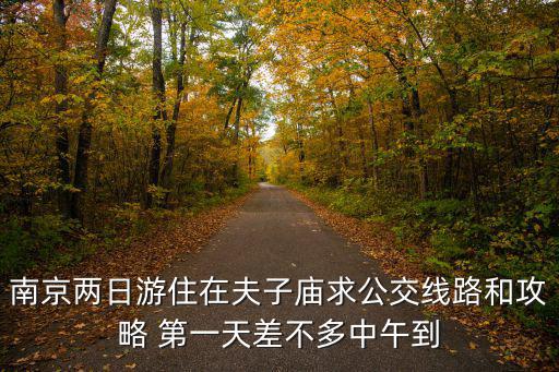 南京兩日游住在夫子廟求公交線路和攻略 第一天差不多中午到
