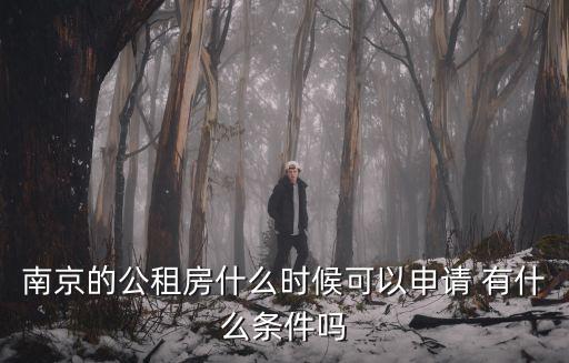 南京公租房，南京的公租房什么時候可以申請 有什么條件嗎