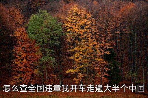 全國交通違章查詢，怎么查全國機動車違章