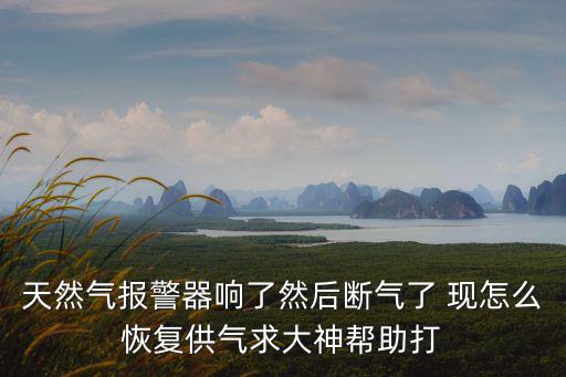 天然氣報警器響了然后斷氣了 現怎么恢復供氣求大神幫助打
