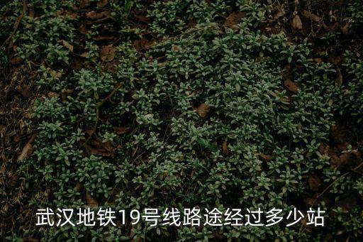 19號線地鐵，武漢地鐵19號線路途經(jīng)過多少站