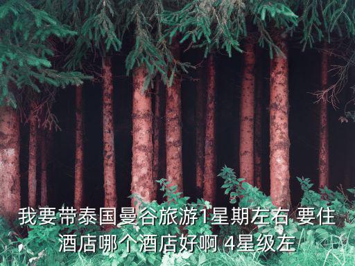 我要帶泰國曼谷旅游1星期左右 要住酒店哪個酒店好啊 4星級左