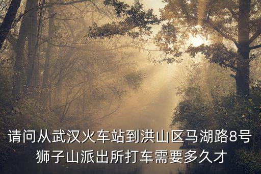 請問從武漢火車站到洪山區馬湖路8號 獅子山派出所打車需要多久才
