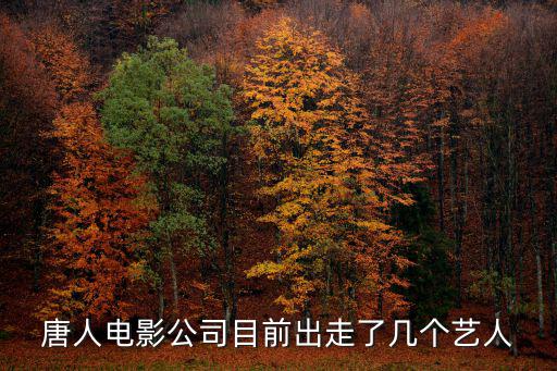 唐人電影公司目前出走了幾個(gè)藝人