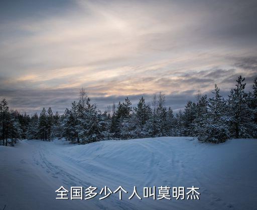 全國多少個人叫莫明杰