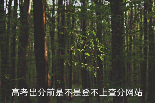 高考出分前是不是登不上查分網站