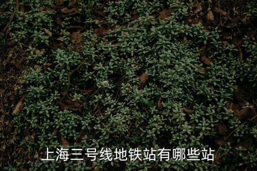 地鐵3號線所有站點，請問武漢地鐵3號線經(jīng)過哪些站