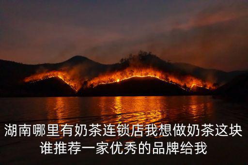 湖南哪里有奶茶連鎖店我想做奶茶這塊誰推薦一家優(yōu)秀的品牌給我