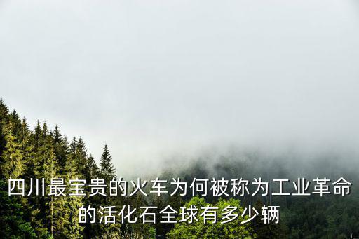 四川最寶貴的火車為何被稱為工業(yè)革命的活化石全球有多少輛