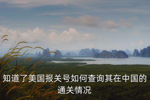 知道了美國(guó)報(bào)關(guān)號(hào)如何查詢其在中國(guó)的通關(guān)情況