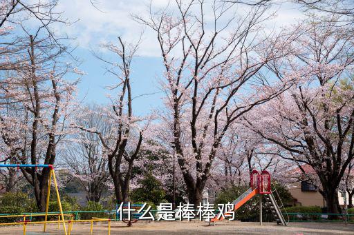 什么是棒棒雞