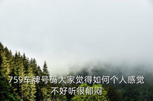 759車牌號碼大家覺得如何個人感覺不好聽很郁悶