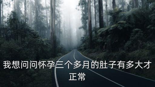 我想問問懷孕三個多月的肚子有多大才正常