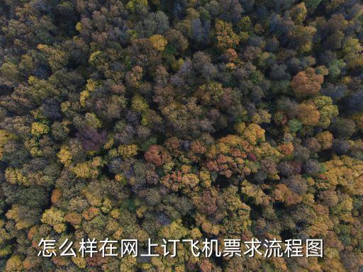 怎么樣在網上訂飛機票求流程圖